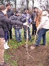 Projekt Strom pro tÅ™Ã­du - prima A