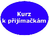 PÅ™Ã­pravnÃ½ kurz k pÅ™ijÃ­maÄkÃ¡m a PÅ™ijÃ­maÄky naneÄisto - gymnÃ¡zium
