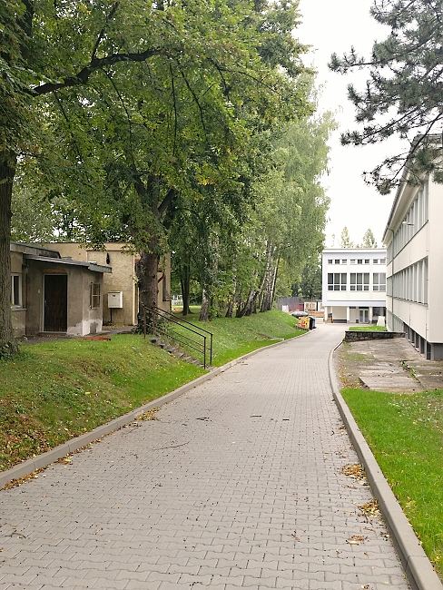fotografie