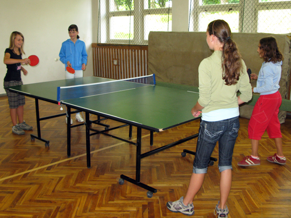SportovnÃ­ aktivity