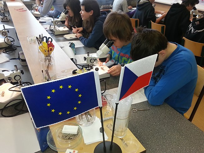 ProjektovÃ¡ vÃ½uka ZÅ  20.2.2014